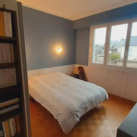 Appartement Calme, Lumineux Et Spacieux. Angers.